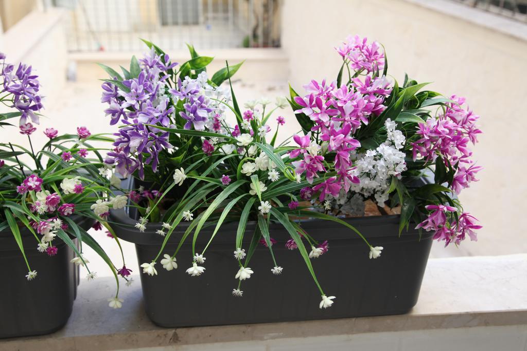 Due Passi Dal Borgo Antico Apartment Bari Bagian luar foto